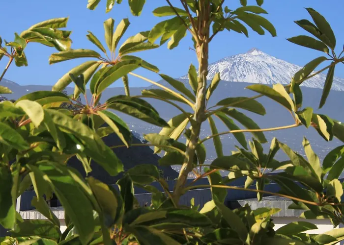 Vistamar Apartamento *