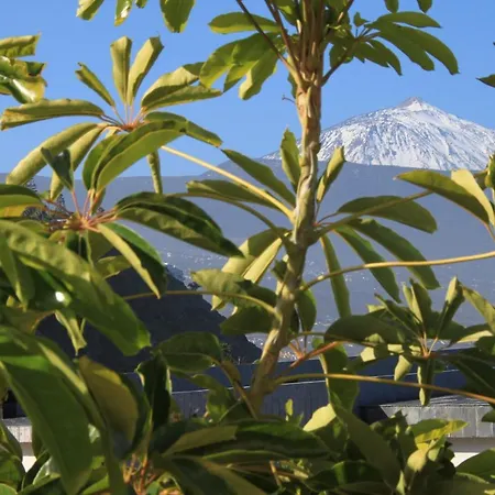 Vistamar Apartmán *